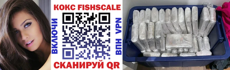 где купить   мега вход  COCAIN Fish Scale  Гаврилов-Ям 