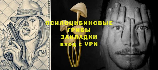 mdma Богородицк