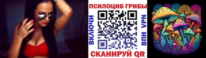kraken   купить   Гаврилов-Ям  Галлюциногенные грибы GOLDEN TEACHER 